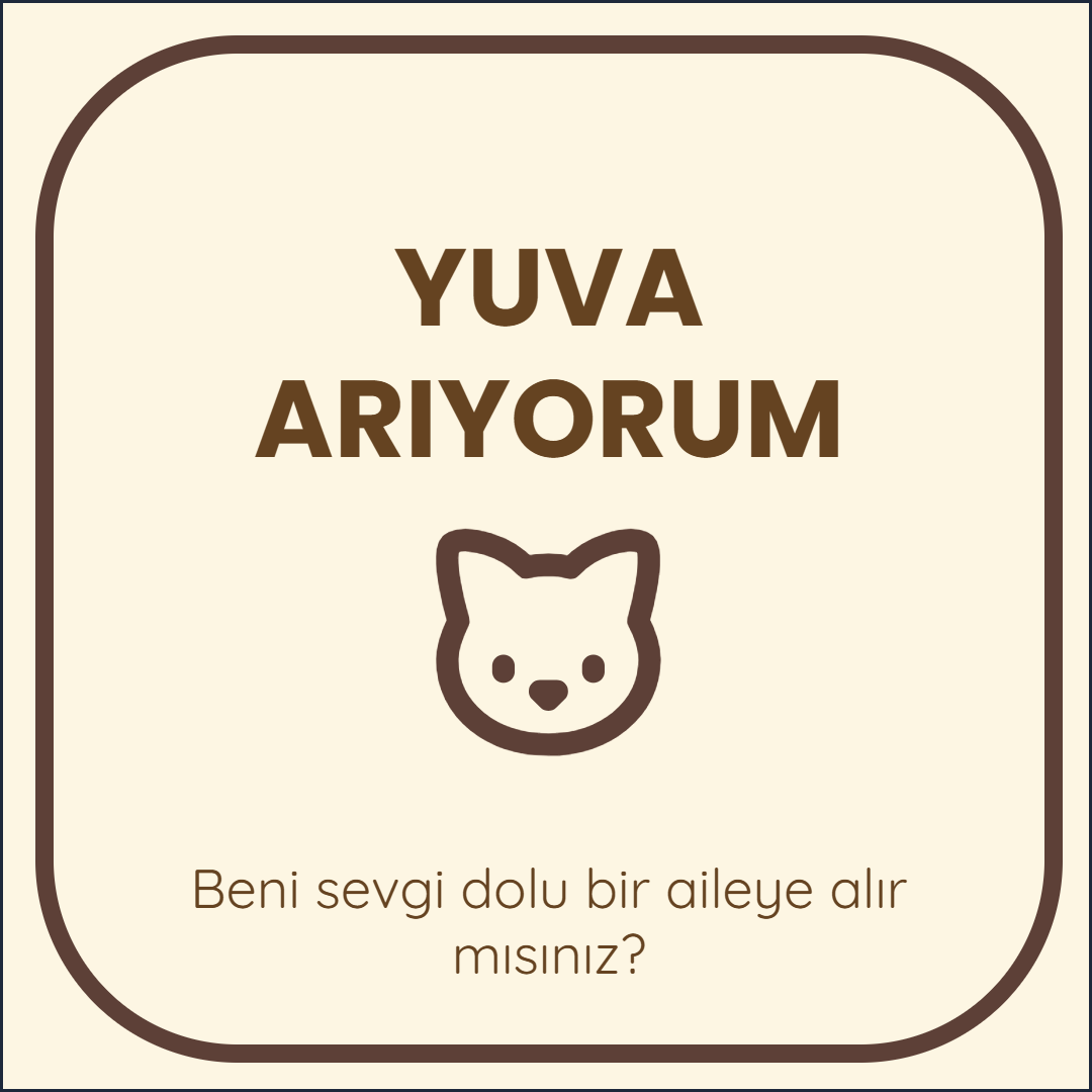 Tuval Easy ile yapılmış örnek kare tasarım